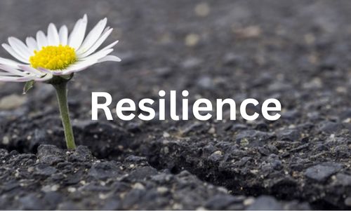 Resilience Course